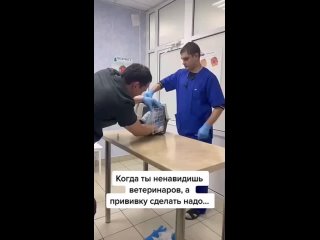 Знакомства содержанки спонсоры