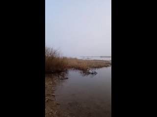 Видео от Рыбалка в Саратове Saratov Fishing