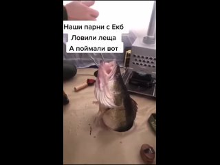 Vdeo de Рыбалка на Урале