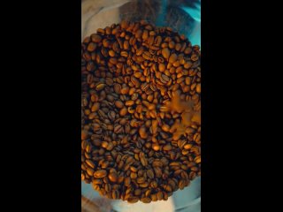 Видео от Тюльпан&Марципан|Авторский кофе в Новосибирске