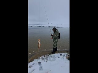 Видео от Рыбалка на севере 89 !