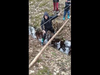 Видео от ВЛАДИМИРСКИЙ НАСТАВНИК