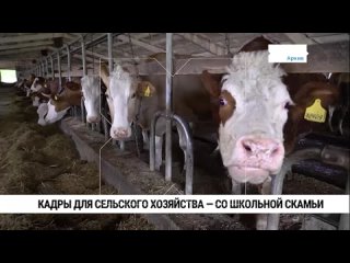 Кадры для сельского хозяйства растят со школьной скамьи в Хабаровске
