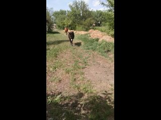 video_20240427_142220.mp4