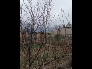 Боец, я верю в твою силу, мудрость и несгибаемую волю