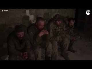 Девять украинских военных сдались в плен