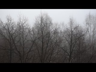 туман 10 апреля 2024 г., ‏7:10:08