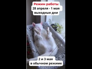 Вы отдыхаете! Сайт работает 24/7