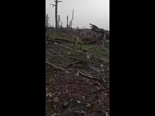 Видео от Донецк Чё там в мире