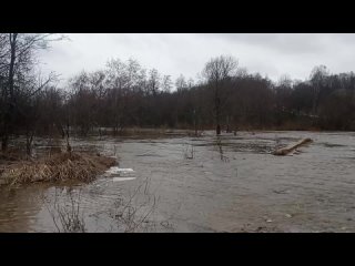 В Ярославской области из-за паводка несколько деревень оказались отрезаны большой водой