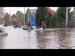 Полицейские Оренбуржья в зоне паводка обеспечивают безопасность жителей и восстанавливают гражданам утраченные документы