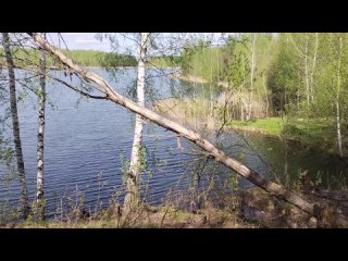 Видео от Новомосковск – отдых на природе. Окрестности.