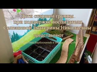 Мультфильм Барбоскины в огороде БАБЫ ЯГИ - МАДОУ Детский сад 279