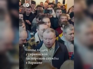 Ухилянты у пшеков. Какой хряк завизжал, отожрался кавой в венской опере. Что вообще происходит, что за хрюканье, вы же не рабы,