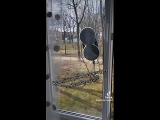 Видео от Аренда моющего пылесоса в Могилеве