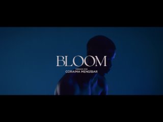 Цветение 🌺 Bloom