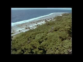 Подводная одиссея команды Кусто. Жак Ив Кусто. Науру: каменная планета. 1992
