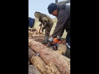 Harvesting firewood for the winter in the village. Заготовка дров на зиму в деревне