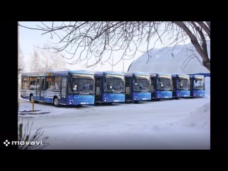 Профессионализм – наш девиз