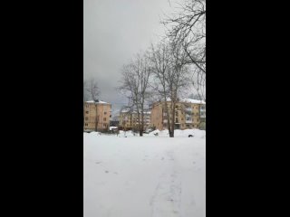 Видео по очередному НЕ почищенному двору, вскрытым крышам под снегом и бронированием деревьев.