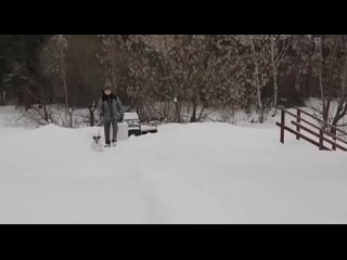 Видео от Новости ТВР24 | Сергиев Посад и Радонежье