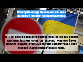 Спикер Совфеда Матвиенко назвала киевский режим террористическим