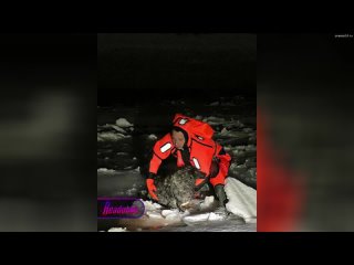 Уфимские спасатели подарили вторую жизнь собаке, провалившейся под лед — бедняга настолько замерзла,