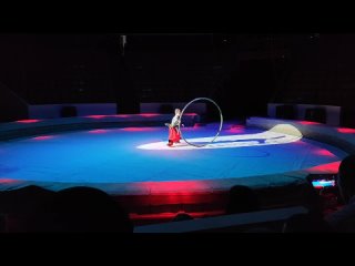 Видео от Искра , спортивно - цирковой клуб(  Spark)