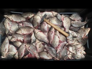 Видео от Рыбалка в Челябинской области. Озера