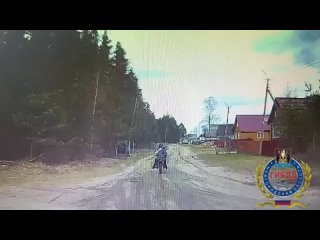 Видео от Свободный Информационный Портал Великий Новгород (360p).mp4