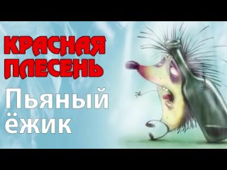 Красная Плесень  Пьяный ежик  Лучшие песни1080p