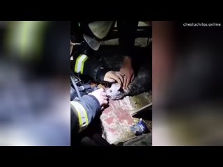 В Белгороде сотрудники МЧС во время пожара спасли 7 человек и кошку