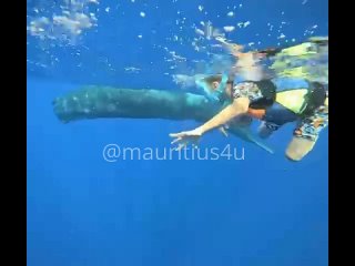 Видео от Остров Маврикий для тебя