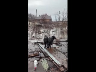 ⚡️ Вода затопила 14 территорий и поселков в Советском, Ленинском и Октябрьском районах Орска

 Там ведутся эвакуационные меропри