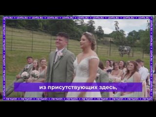 Корова выступила против заключения брака.  Комичная ситуация произошла в Великобритании во время выездной регистрации.... (видео)