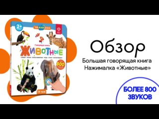 Большая говорящая книга Нажималка «Животные» | BertToys | Развивающие игрушки