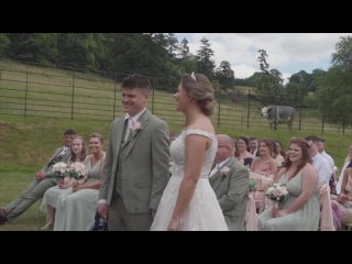 «Есть ли здесь кто против этого брака?»: В Британии корова чуть не сорвала свадьбу