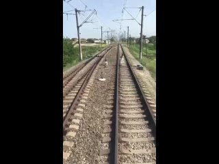 В Дагестане 15-летняя девушка шла по рельсам в наушниках и не услышала приближающийся локомотив. Скончалась на месте