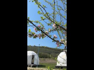 Видео от Глэмпинг отель в Крыму| домики Байдарская долина