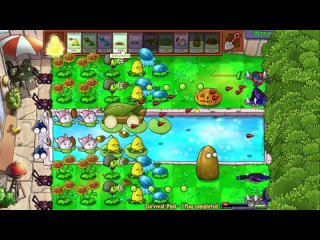 Денарсер КАК СКАЧАТЬ ПВЗ 16 НА 9 Plants Vs Zombies