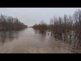 В Котласском округе паводковыми водами подтоплен участок автодороги Кузнецово - Алексино, км 1+600. Глубина потопления составляе