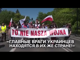 В Польше продолжается восстание против украинцев, США и НАТО