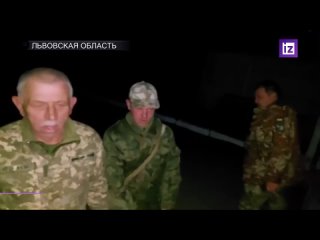 Пьяные украинские военкомы задержали волонтера и попытались избить его жену во Львовской области