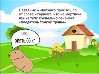 Капибара - Павлов Сергей, ИОЦ “Содружество“, 2кл