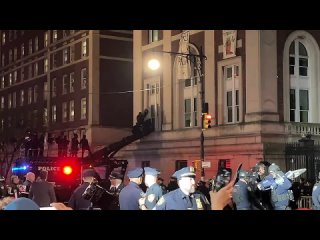 Elementos de la Polica de Nueva York ingresaron al edificio de Hamilton Hall de la Universidad de Columbia donde se encontraban