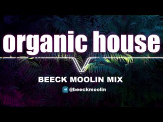 ORGANIC HOUSE ONLY MIX 2024 vol. 15