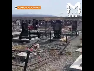 Пьяный южносахалинец на джипе влетел на кладбище и протаранил могилы