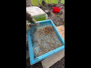 Домашний мед в КЗН, МСК, СПБ |Пасека в Малиновке