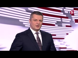 Начали разлагаться: десятки лошадей погибли от голода на конном заводе на Ставрополье