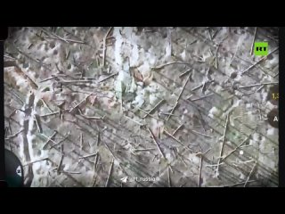 ️Эксклюзивные кадры уничтожения вэсэушников у подножия Белой горы около Белогоровки и в Серебрянском лесничестве (ДНР)